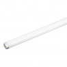 Lâmpada Fluorescente Tubular 40W
