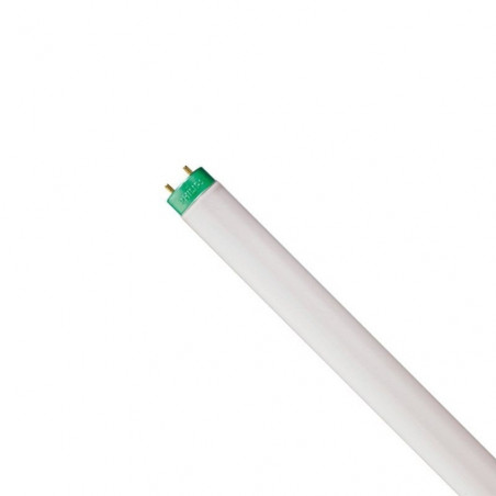 Lâmpada Fluorescente Tubular T12  110W