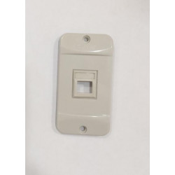 Tampa Tomada P/Condulete 3/4 Cinza Claro P/1 RJ45 913630 - CEMAR