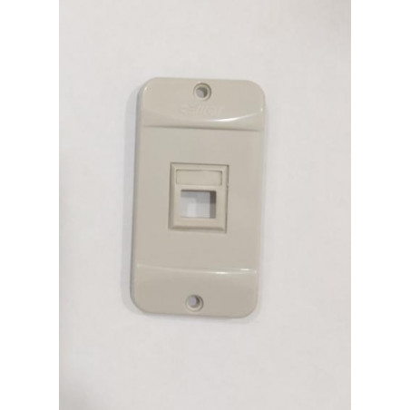 Tampa Tomada P/Condulete 3/4 Cinza Claro P/1 RJ45 913630 - CEMAR