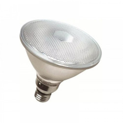 Lâmpada Halógena PAR38 Kian 100W 220V