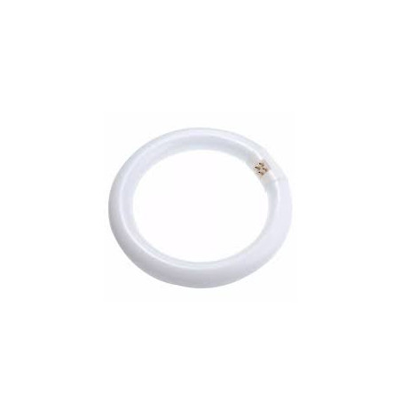 Refil Circular 22W