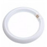 Refil Circular 22W